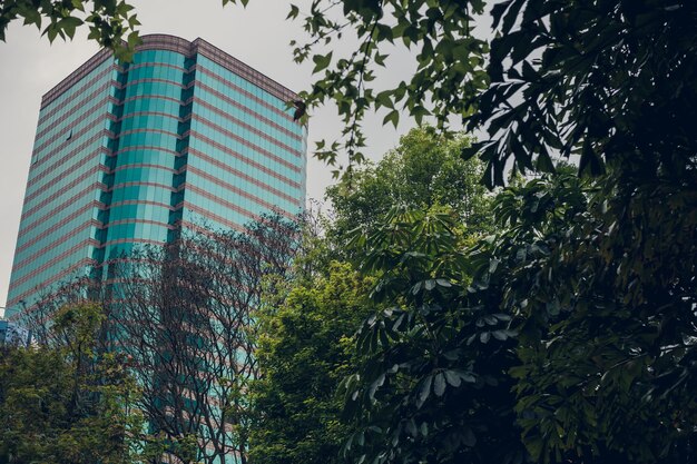 View of high rises from Hong Kong Park in Hong Kong China