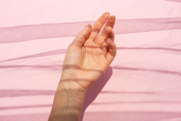 View Of Human Hand Against Clear Background