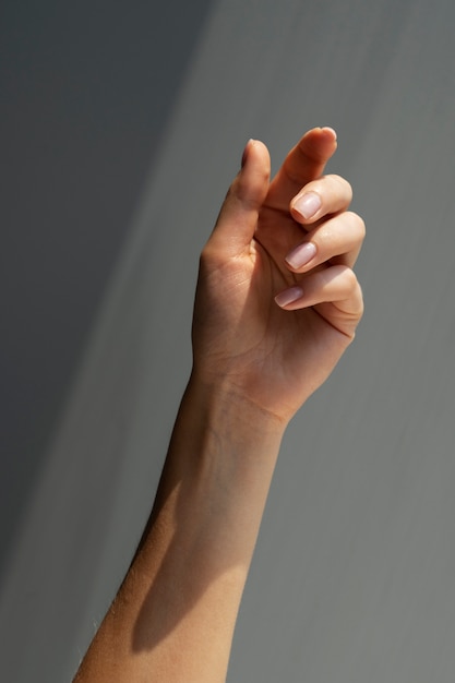 View of human hand against clear background