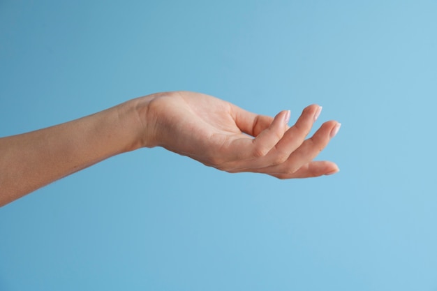 Free photo view of human hand against clear background