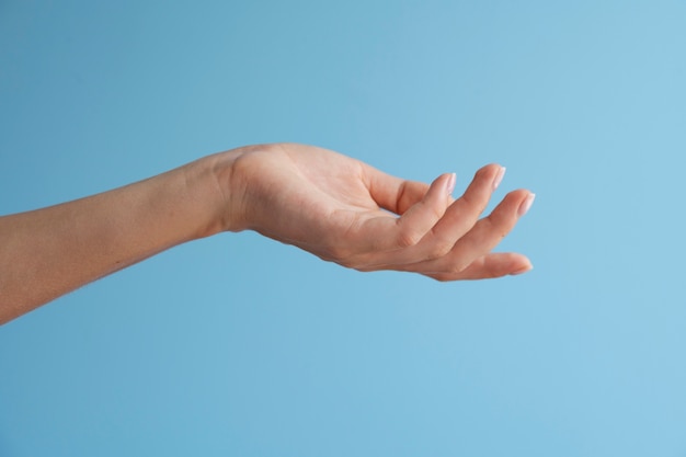 View of human hand against clear background