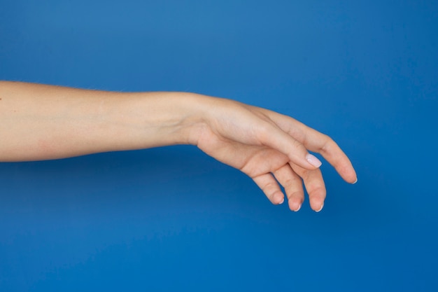 View of human hand against clear background