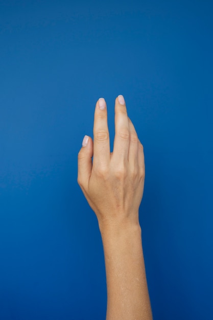 View of human hand against clear background
