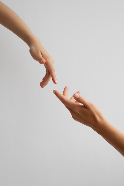 View of human hands against clear background