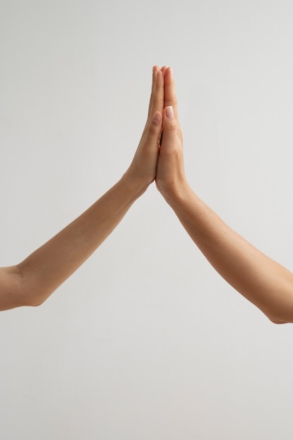 View of human hands against clear background