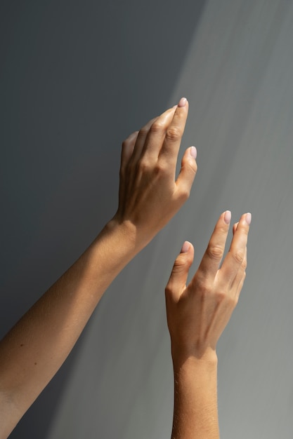 View of human hands