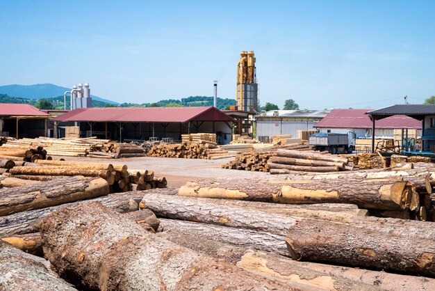 View of industrial sawmill factory for wood processing