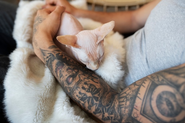 Free photo above view man being affectionate with cat