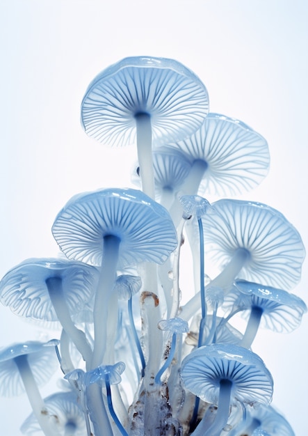 Free photo view of mono color mushrooms