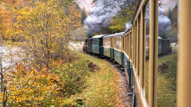 View of the moving steam train Mocanita from inside it, Romania