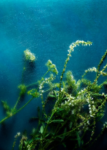 Foto gratuita vista di fiori sfocati naturali