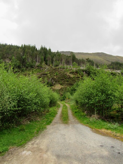 View of the nature of Scotland United Kingdom Road hills and fields covered with sparce vegetation