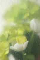 Бесплатное фото Вид на цветы за прозрачным стеклом с каплями воды