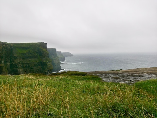 여름에 Moher 절벽의 보기입니다. 클레어 카운티의 대서양에 있는 아일랜드의 절벽. 프리미엄 사진