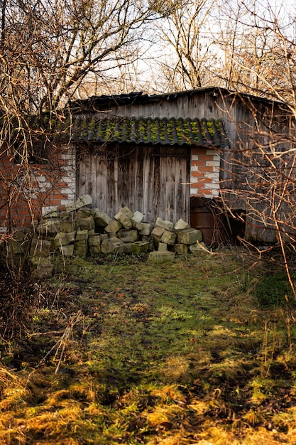 自然の中の古い廃屋の眺め