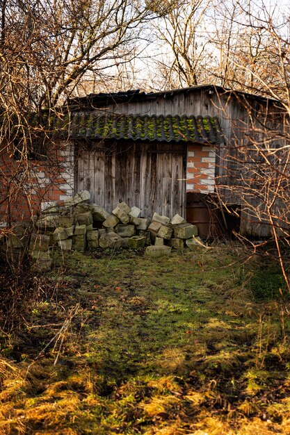 View of old and abandoned house in nature