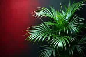 Free photo view of palm tree species with green foliage