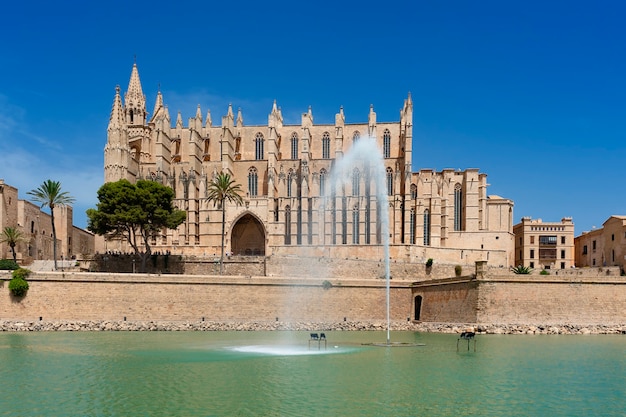View of Palma de Mallorca cathedral, Spain, Europe