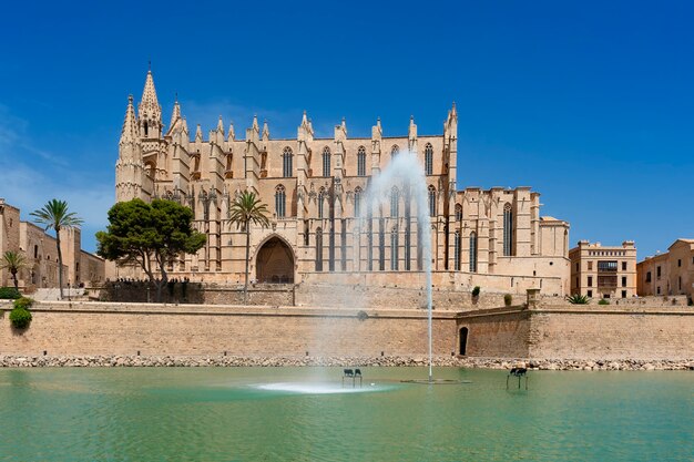 View of Palma de Mallorca cathedral, Spain, Europe