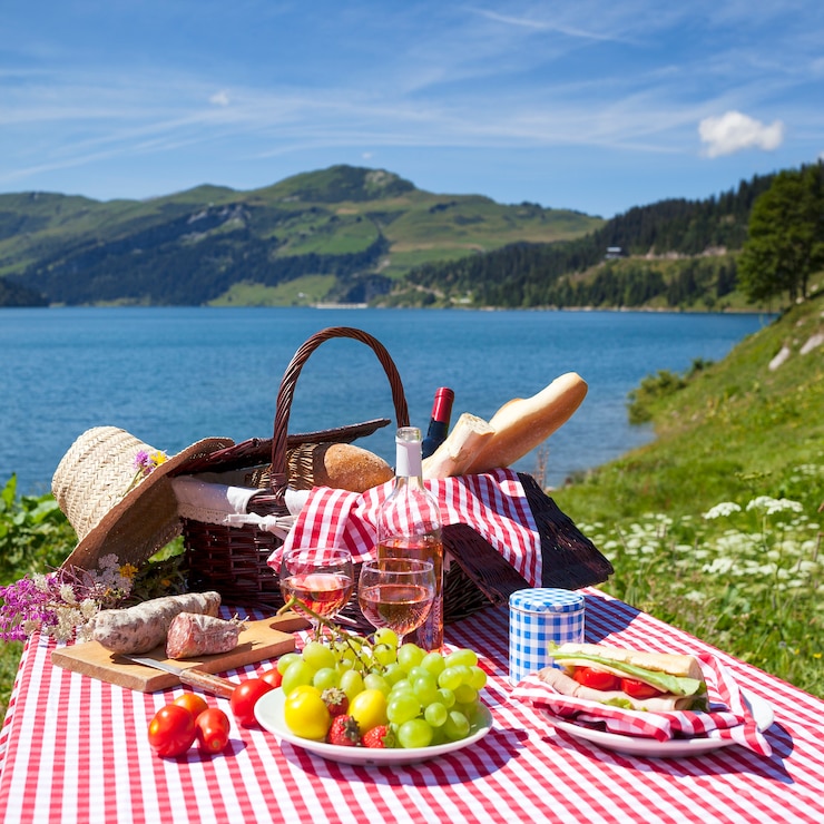 Free Photo view of picnic in french alpine mountains