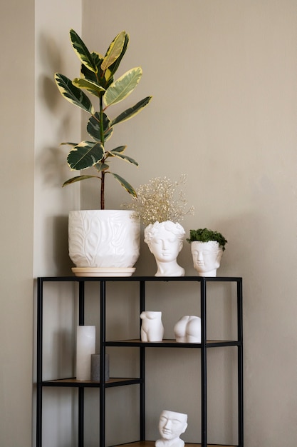 view of potted plant in room on metal shelf