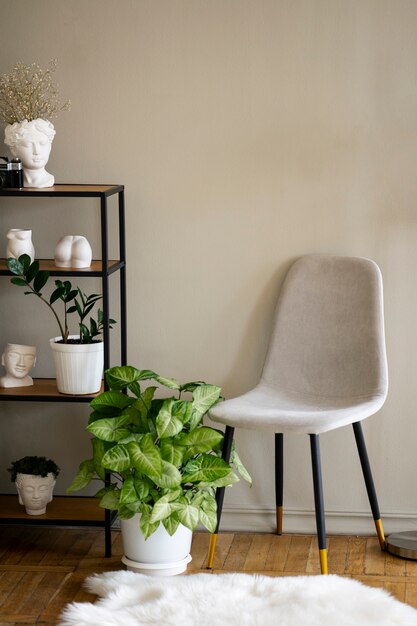 View of potted plant in room with chair and shelf