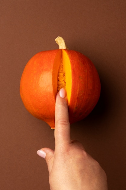 Above view pumpkin as female reproductive system