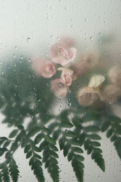 View of rose flowers behind condensed glass