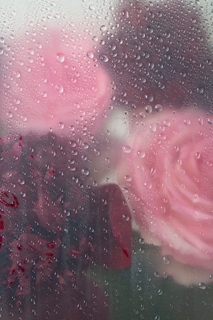 View of rose flowers behind condensed glass