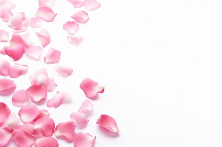 Free Photo view of rose petals