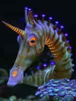 Free photo view of sea horse animal with fantastic neon lighting