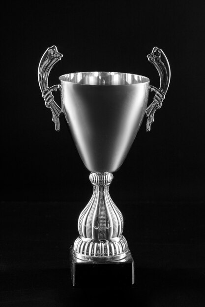 View of silver cup trophy