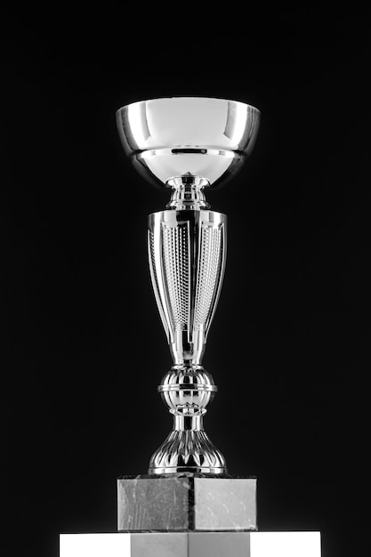 View of silver cup trophy