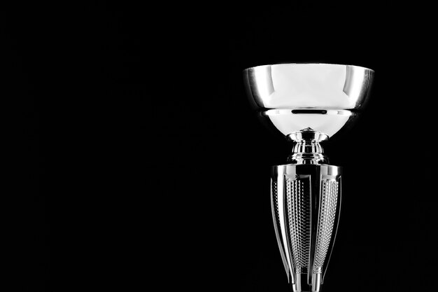 View of silver cup trophy