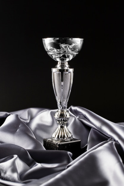 View of silver cup trophy