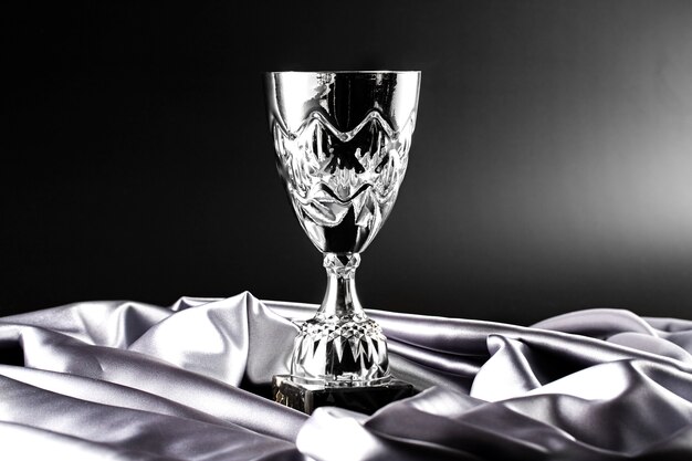 View of silver cup trophy