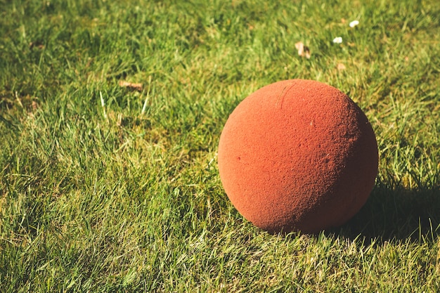 View of a small red ball on the ground in a field captured on a sunny day