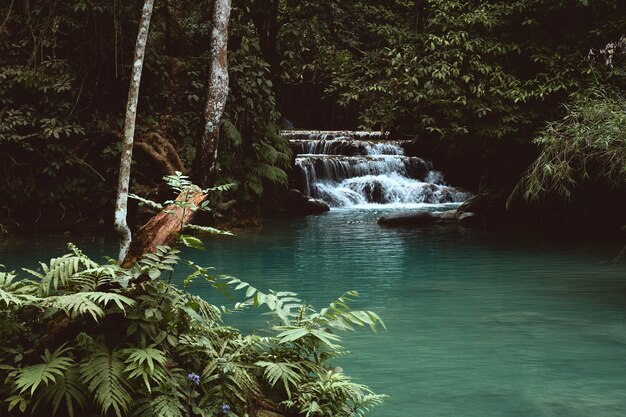 View of small waterfalls in the jungle at the Kuang Si Waterfall in Luang Prabang, Laos