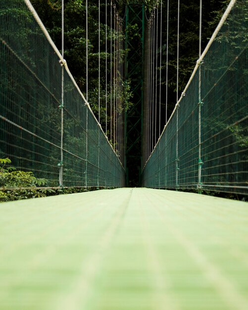 Вид на подвесной мост через тропический лес Коста-Рики