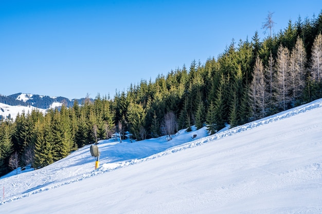낮 동안 스키 리조트 옆에있는 눈 덮인 산의 키 큰 나무보기