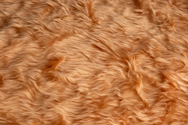 View of textured fur fabric