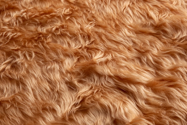 View of textured fur fabric