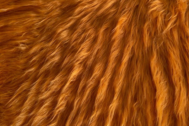 View of textured fur fabric