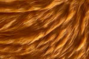 Free photo view of textured fur fabric