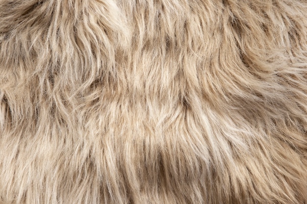 View of textured fur fabric