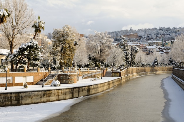 View of trees with snow along the river