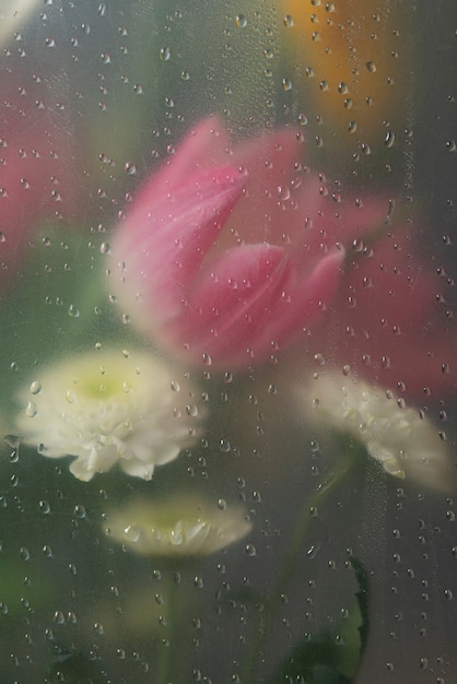 View of tulip flowers behind condensed glass