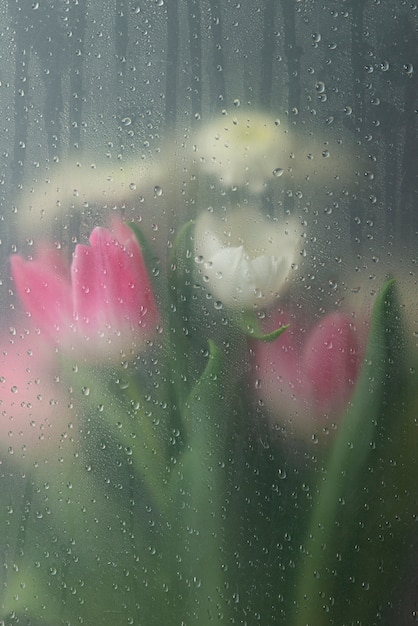 View of tulip flowers behind condensed glass