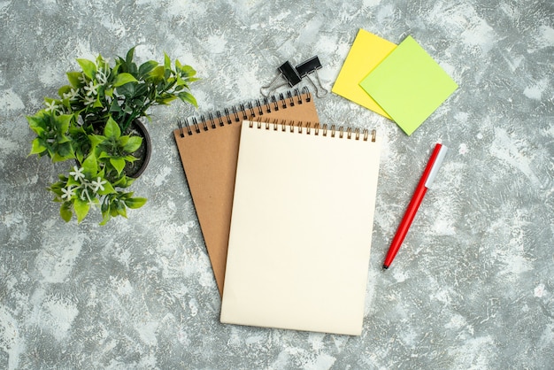 Above view of two kraft spiral notebook with pen colorful notepapers and flower pot on ice background