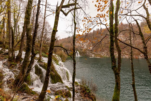 크로아티아의 Plitvice 호수 국립 공원에있는 폭포보기